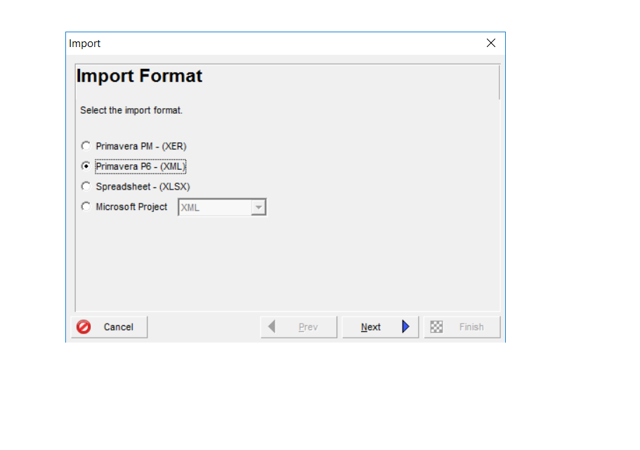 The Primavera import format